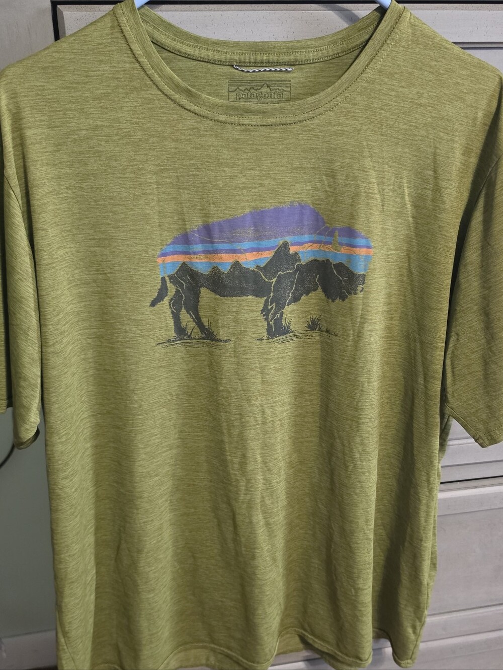 Patagonia Olive Green Short-Sleeve Graphic Tee